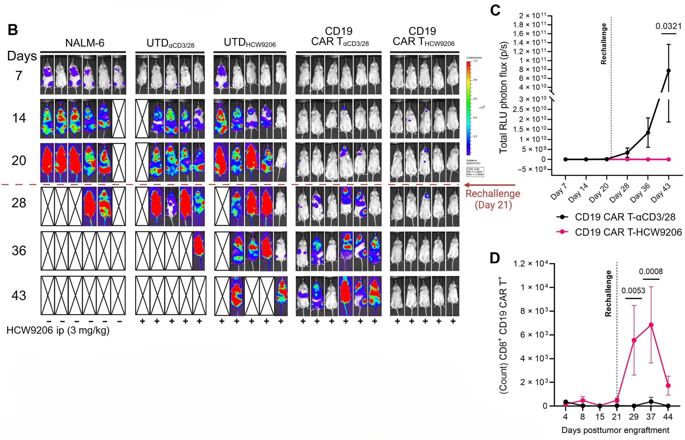 lentiviral transduction in CAR T cell