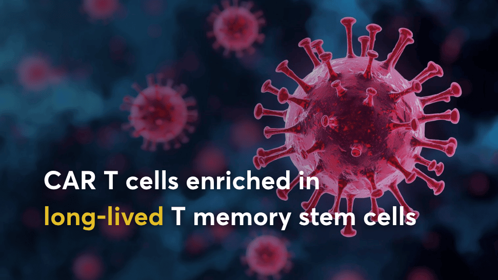 lentiviral transduction in CAR T cell