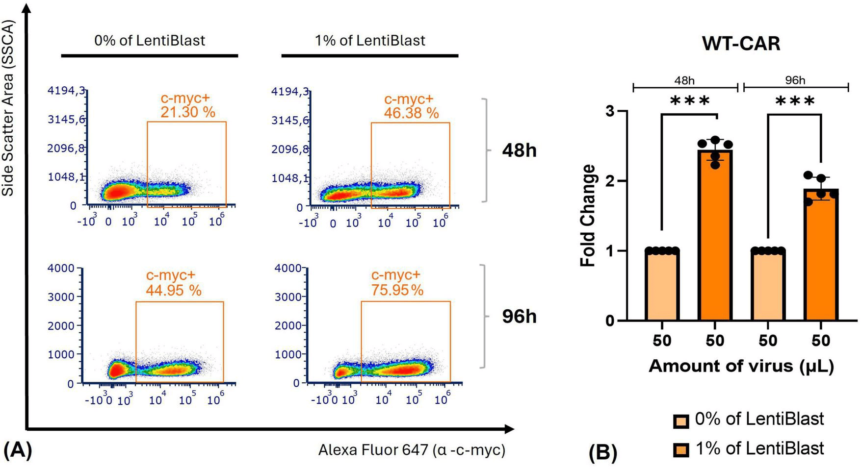 Lentiviral vectors in WT-CAR cell therapy