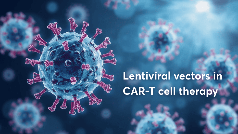 CAR-T cell therapy