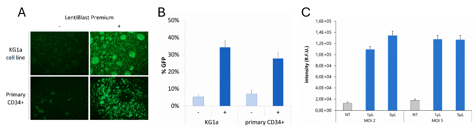 lentiviral transduction in stem cells