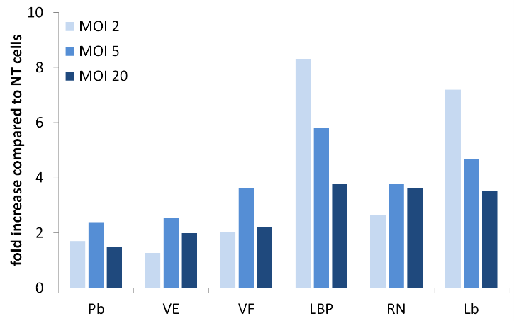 lentiviral transduction enhancer
