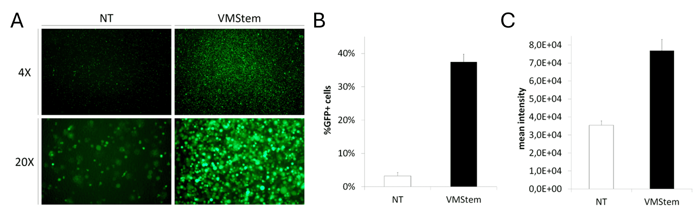 transduction with lentivirus