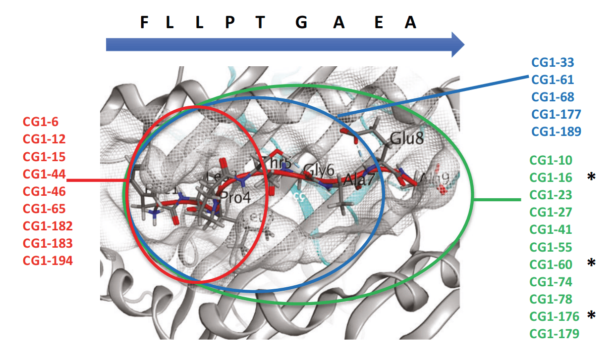 Transduction Enhancer