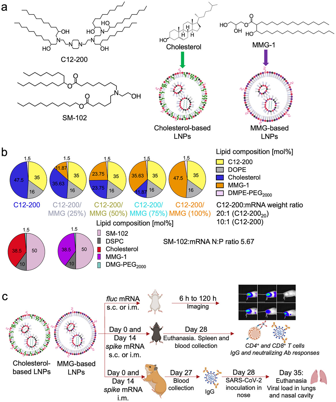 Spike SARS CoV-2 mRNA