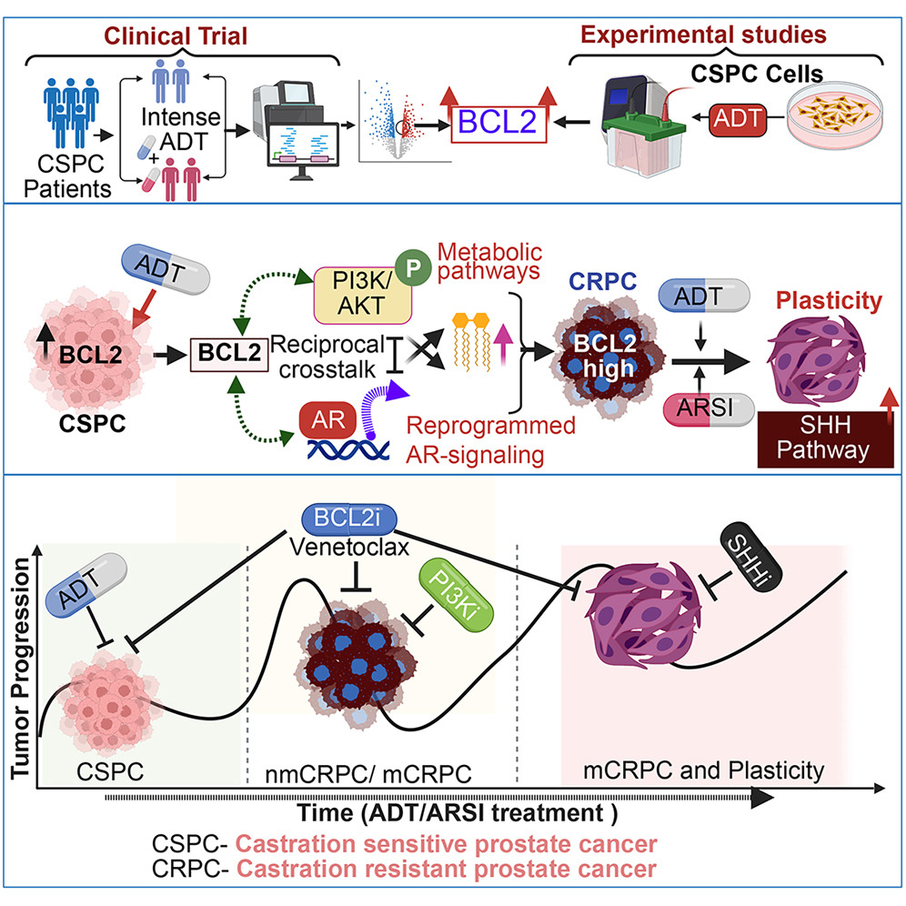 Transduction Enhancer