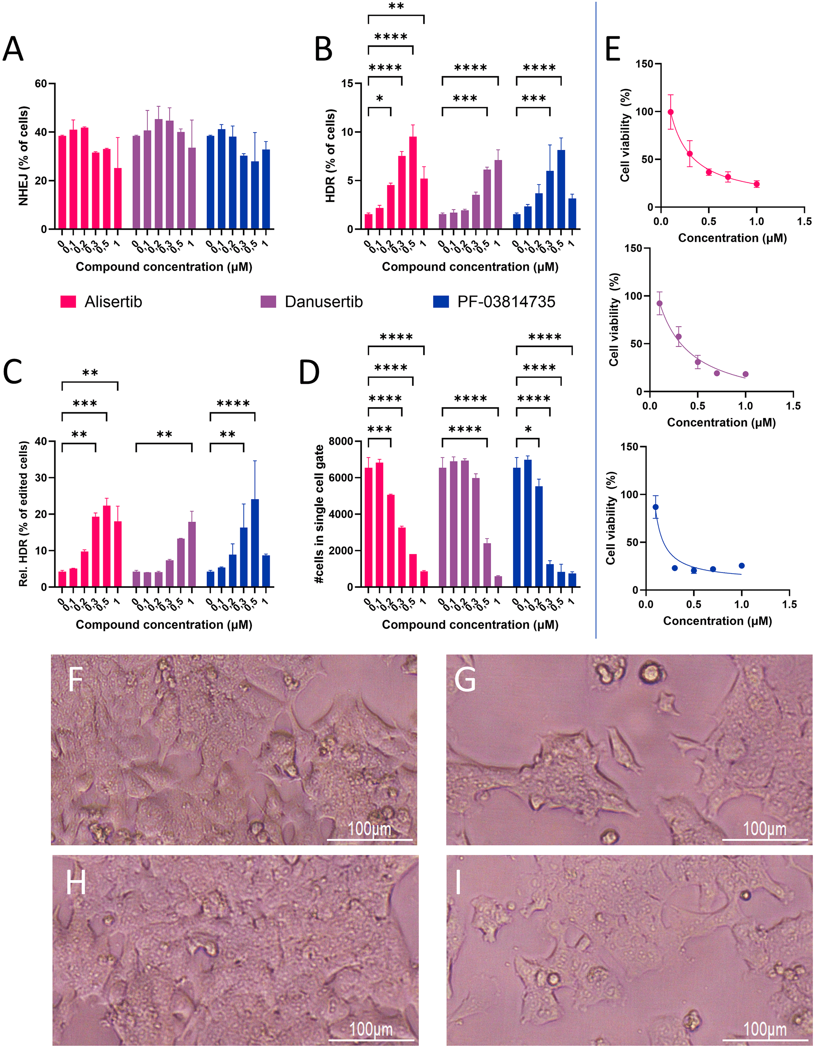 crispr cas9 transfection