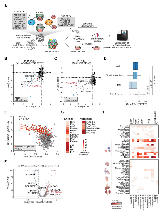 lentivirus transduction enhancer