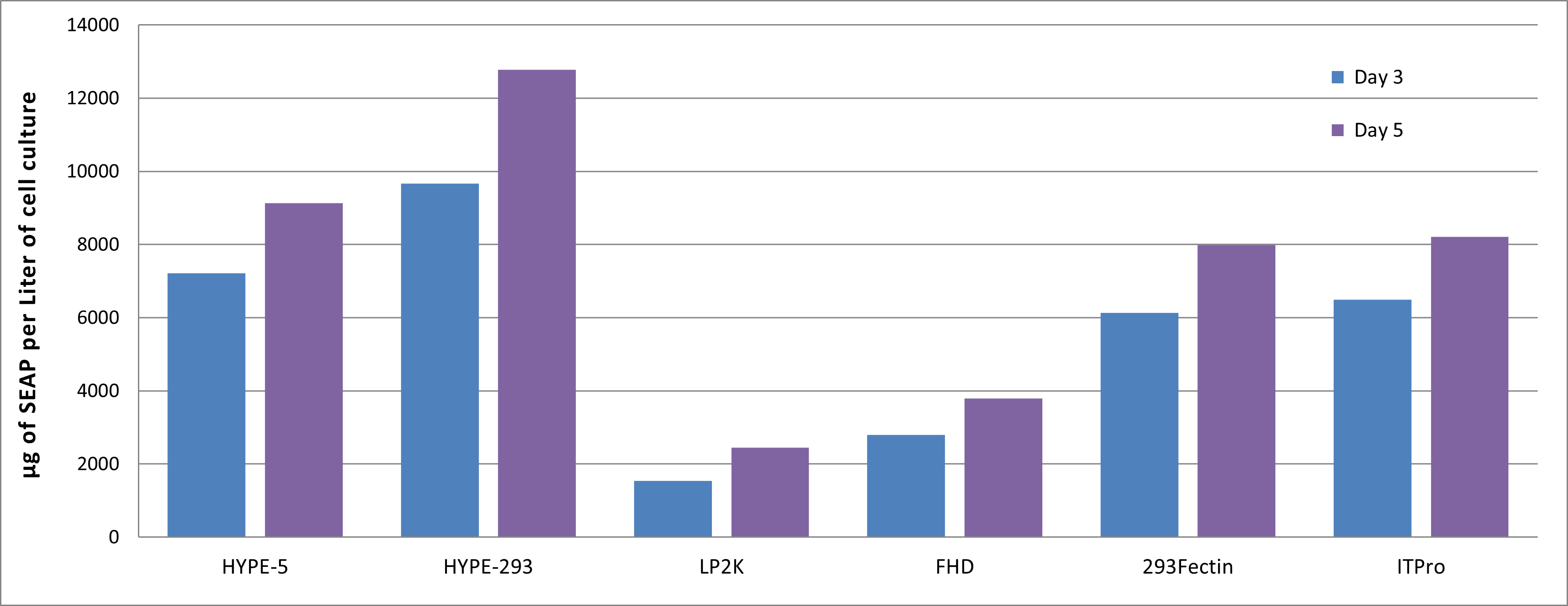 transfection of neural cells recombinant protein production