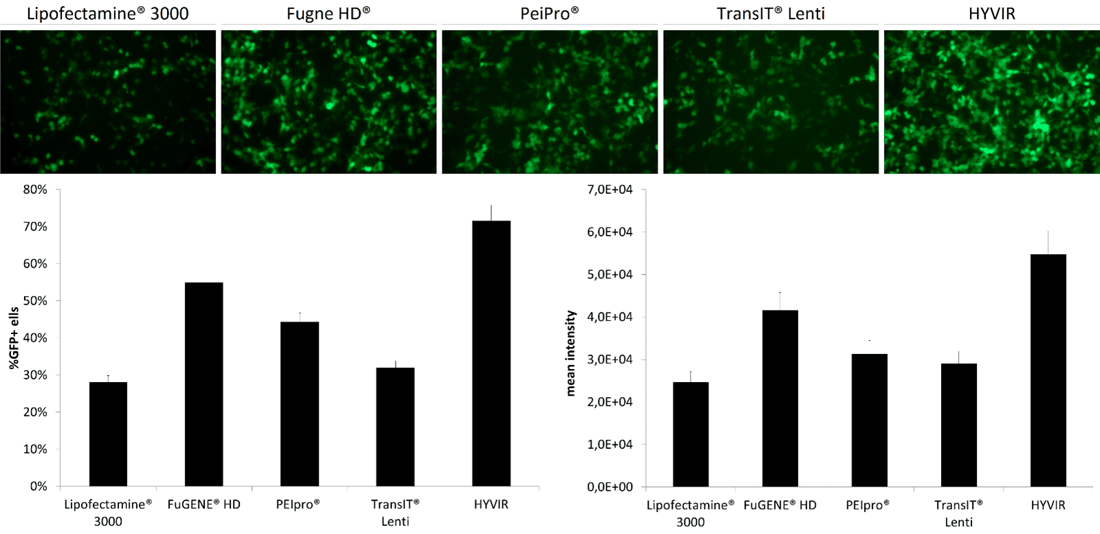 large scale virus production large scale bioproduction