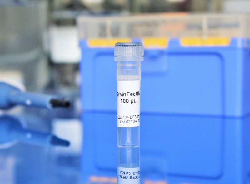 in vivo brain delivery