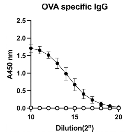 mrna lnp vaccine