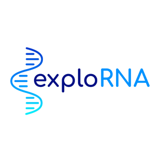 ExploRNA