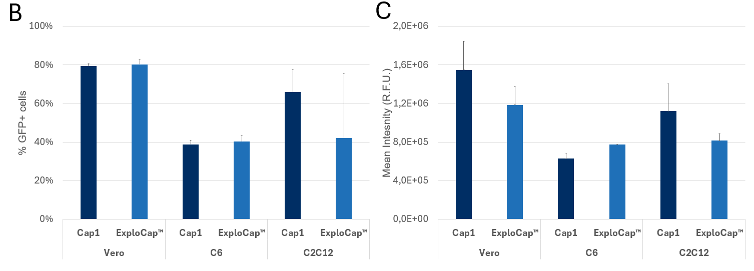 egfp mrna capped with explocap
