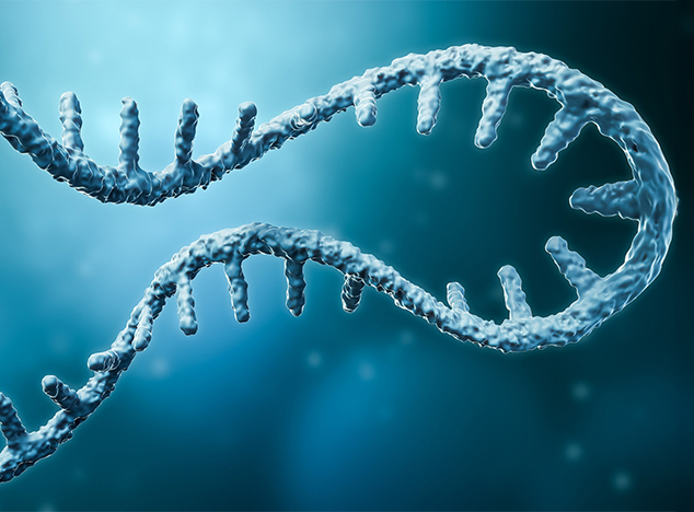 RNA FAQ mRNA