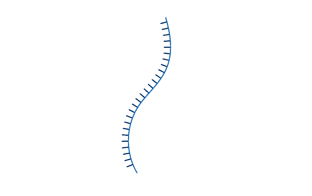 Custom mRNA
