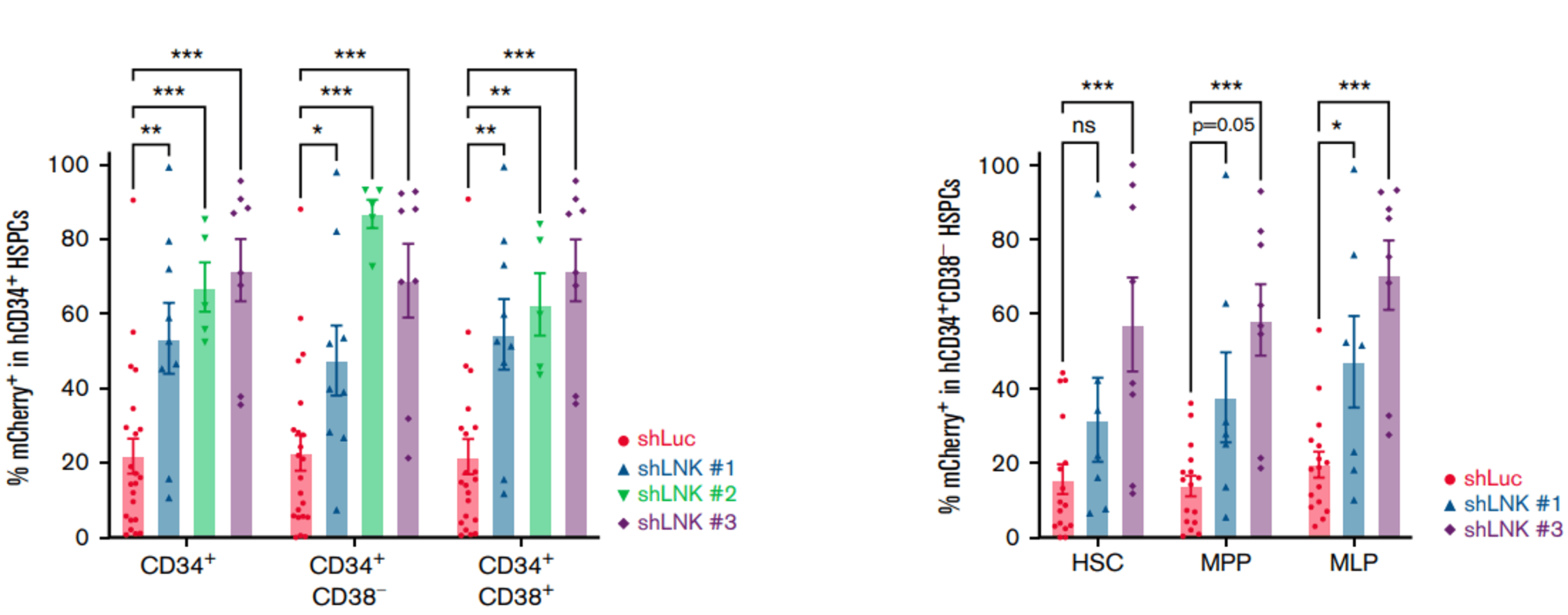 lentiviral transduction on human CD34⁺ HSPCs
