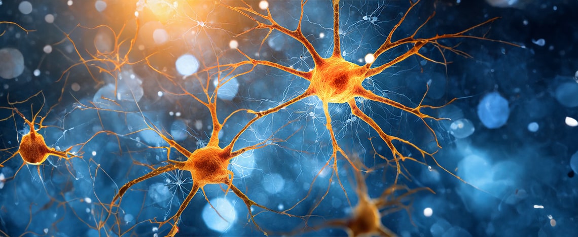 neuronal transfection