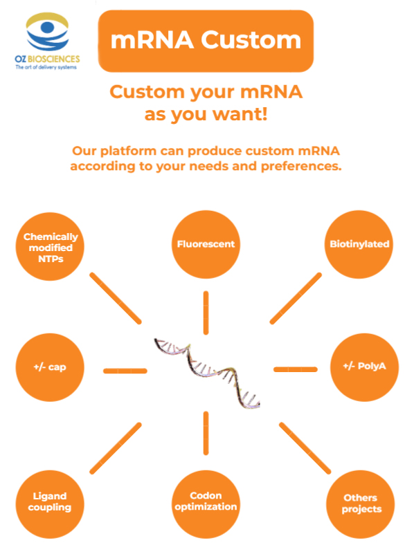 Custom mRNA