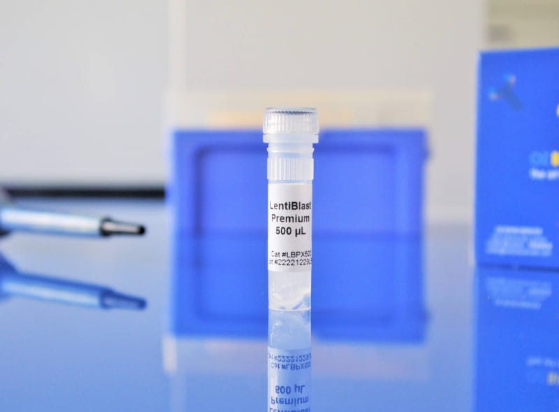 lentiviral infection