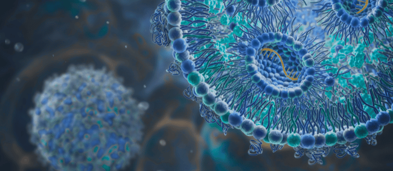 dna transfection reagent