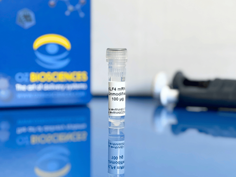 KLF4 mRNA