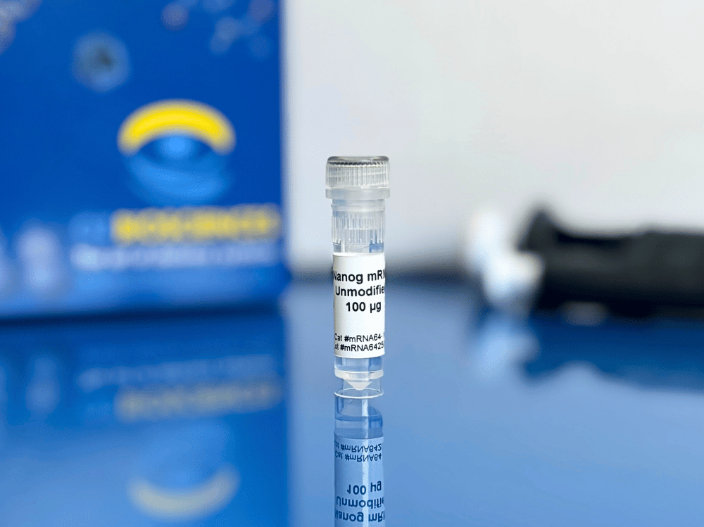 Nanog mRNA