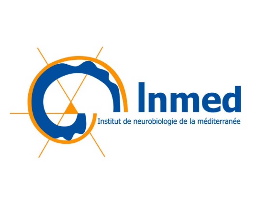inmed.png