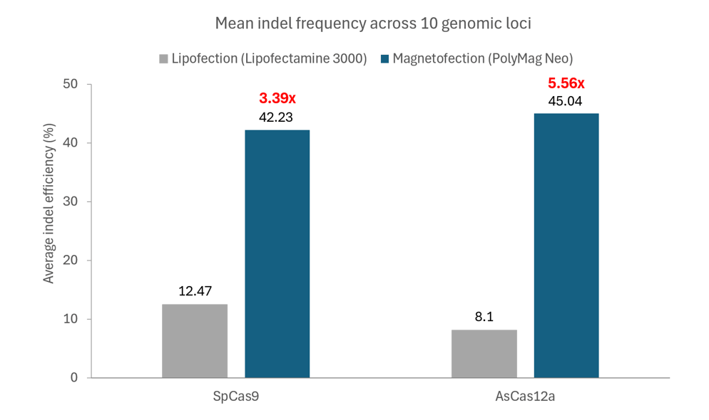 SpCas9 delivery