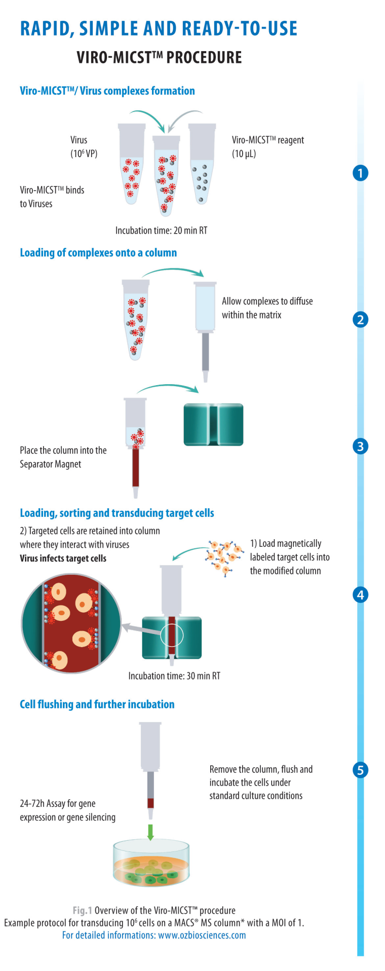 Integrated Magnetic Immuno-Cell transduction