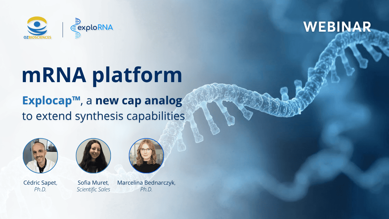 mrna platform