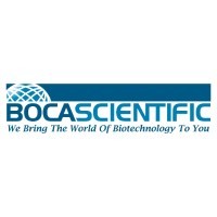 BOCA SCIENTIFIC Inc