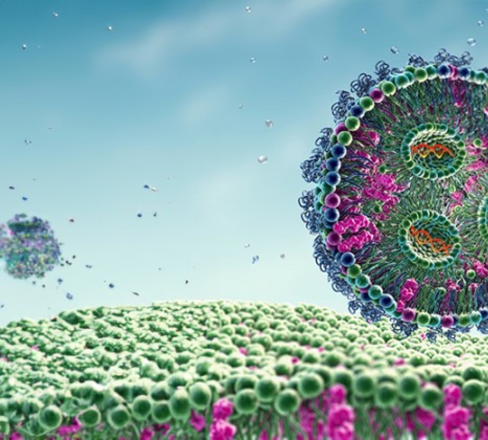 Lipid Nanoparticles (LNPs): A complete guide for researchers