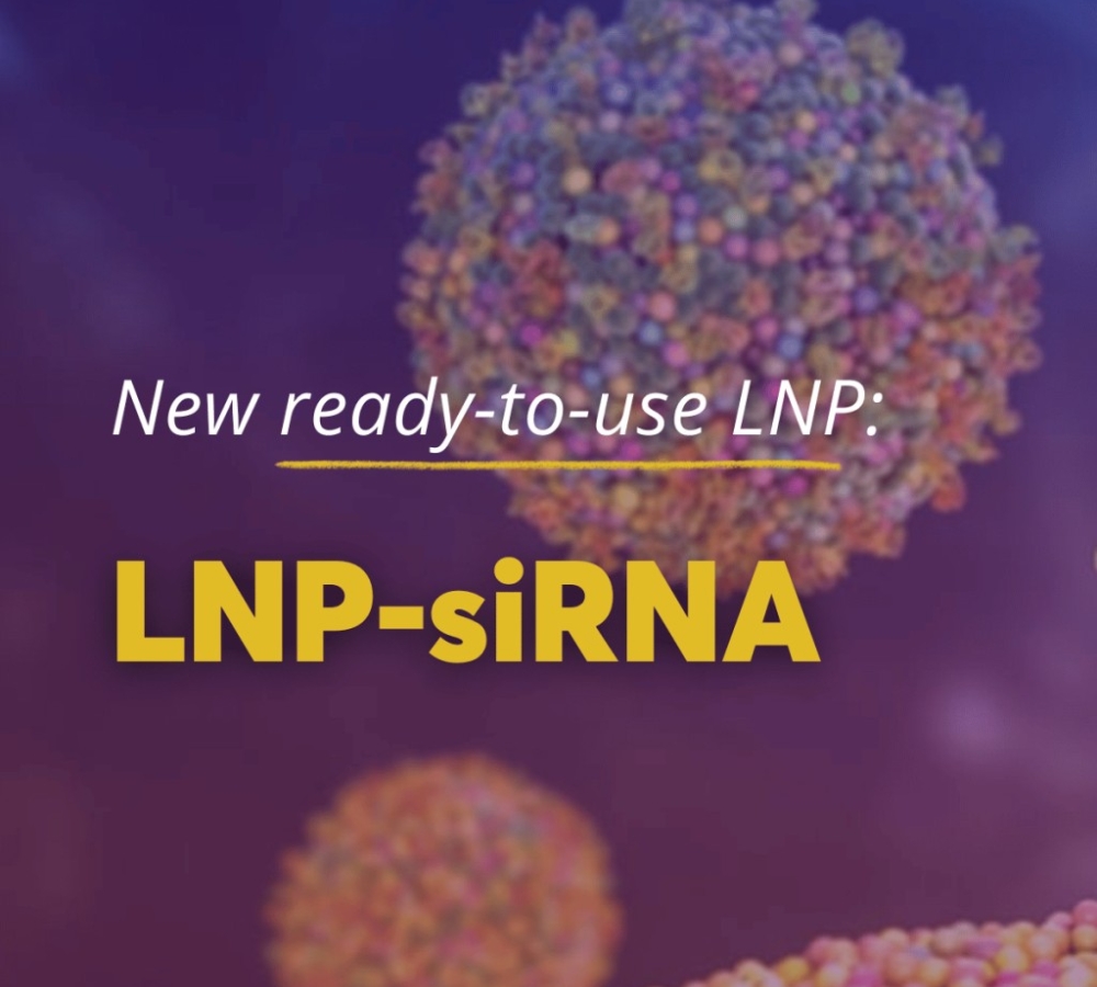 New ready-to-use LNP-siRNA for efficient gene silencing