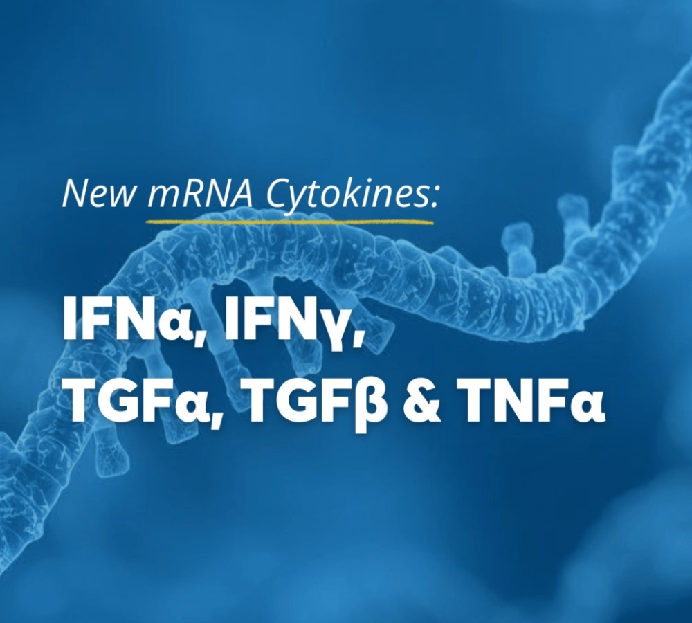 New high-expression Cytokine mRNAs for research