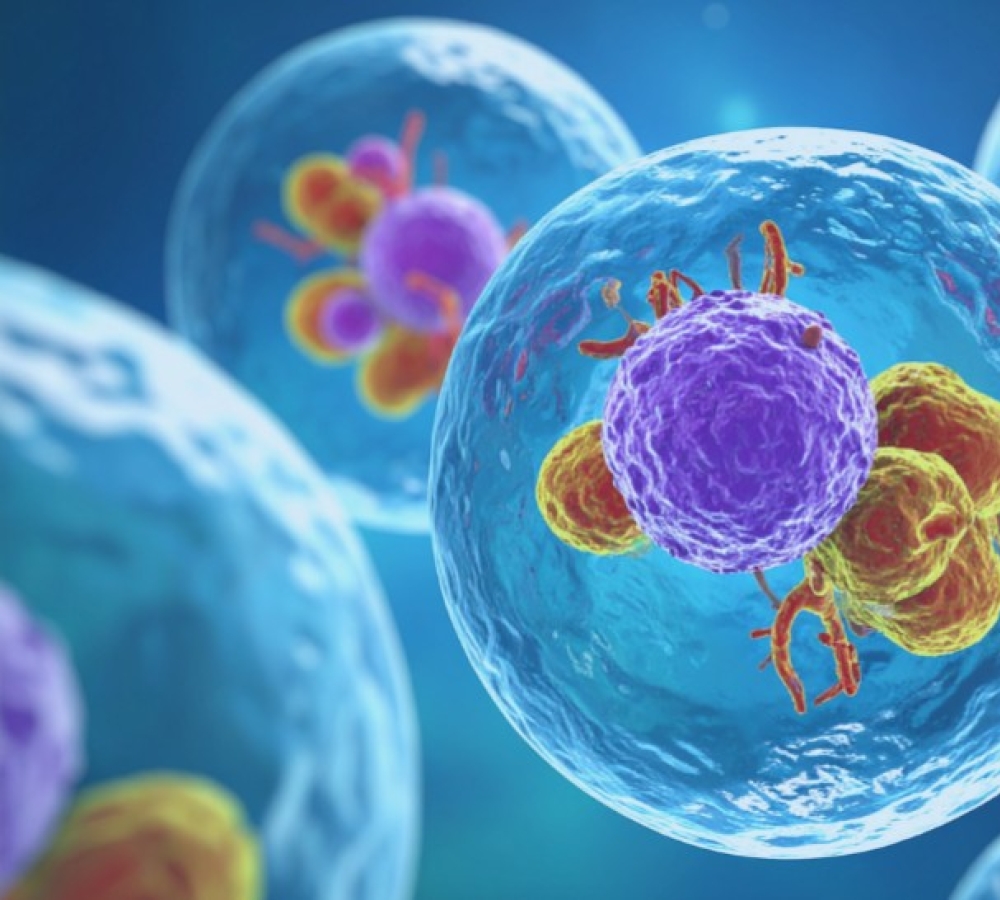 Scientific advances in oncology: 2025 studies using OZ Biosciences tools