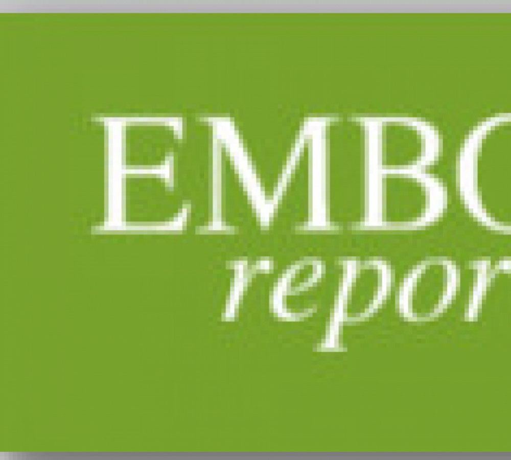 EMBO Reports: Transfection of Primary Motor Neurons with NeuroMag