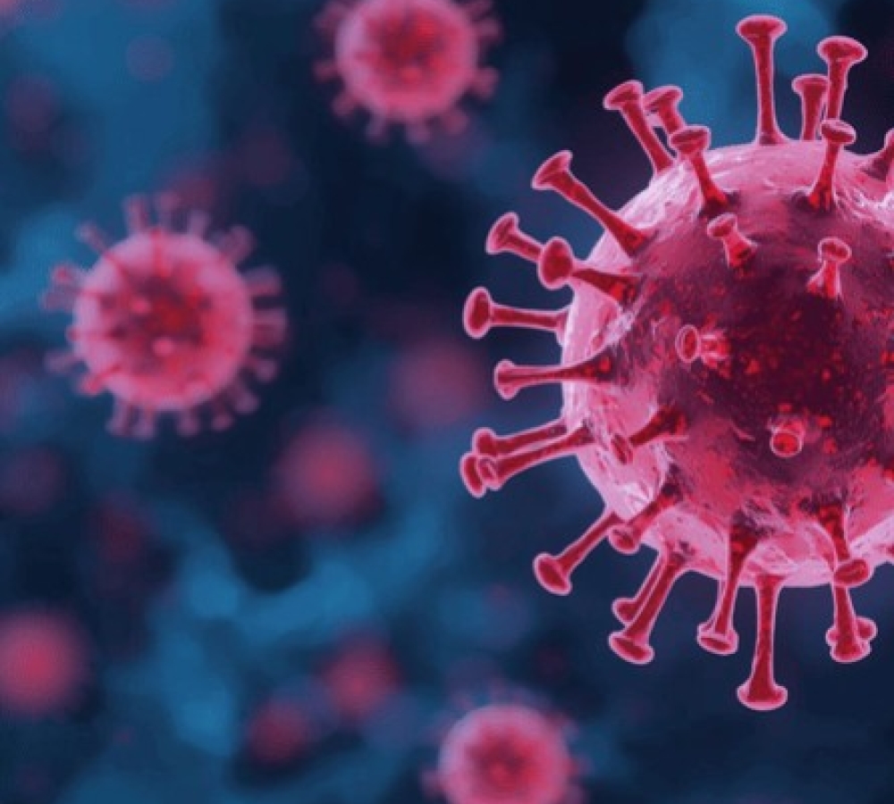 Cytokine-fusion scaffold generates CAR T cells enriched in long-lived TSCM