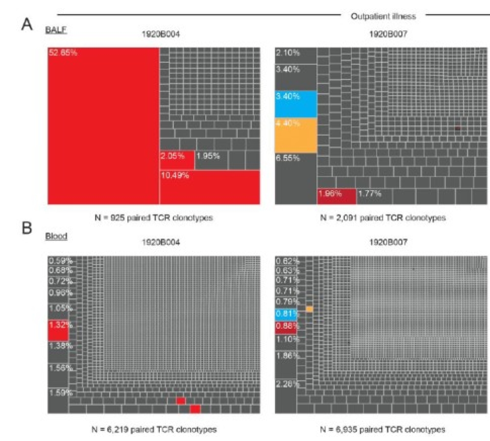 CD8+ T-cell response in the lower airways during acute influenza infection