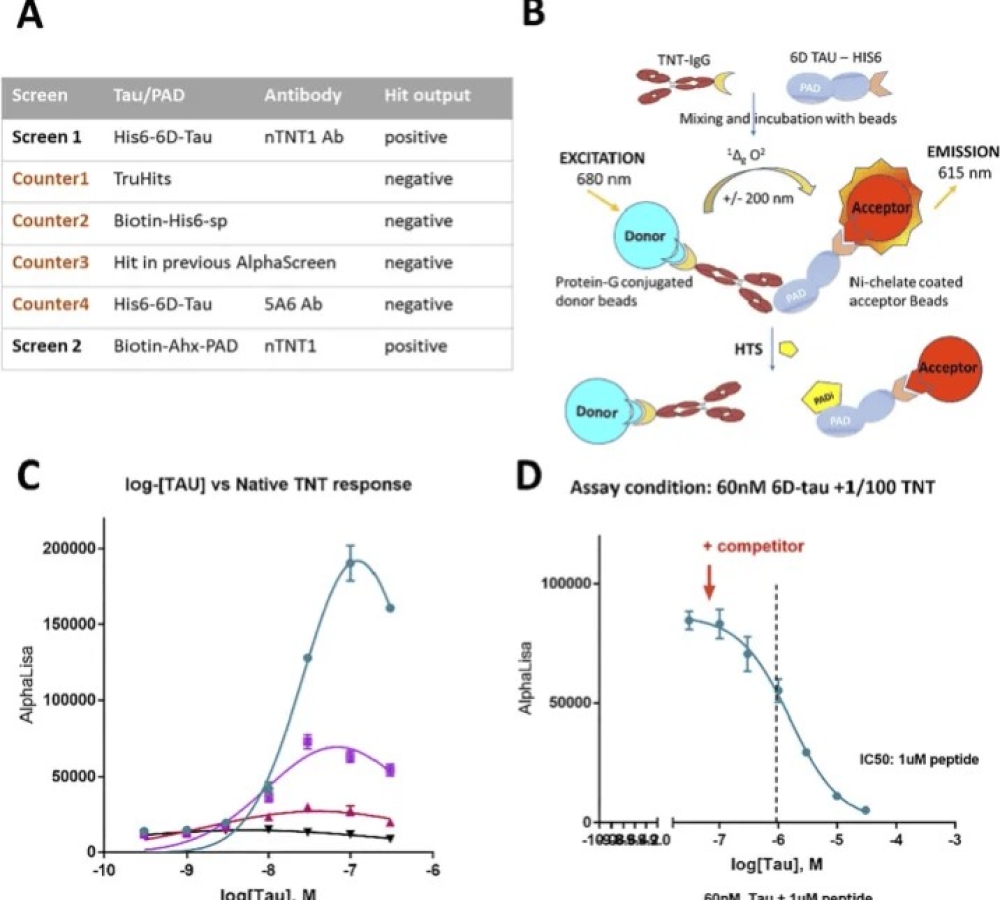 Inhibition of pathogenic tau signaling by novel small molecules
