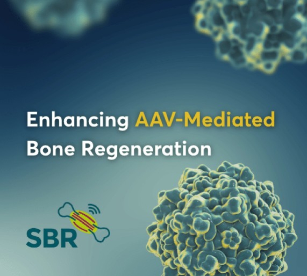Development of a gene-activated matrix for enhanced AAV gene delivery in vitro