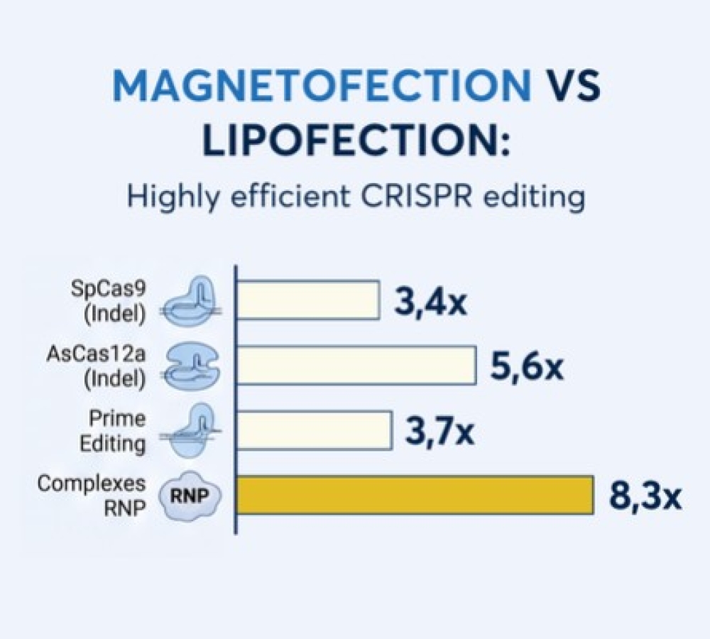 How Magnetofection unlocks high-efficiency CRISPR Genome Editing