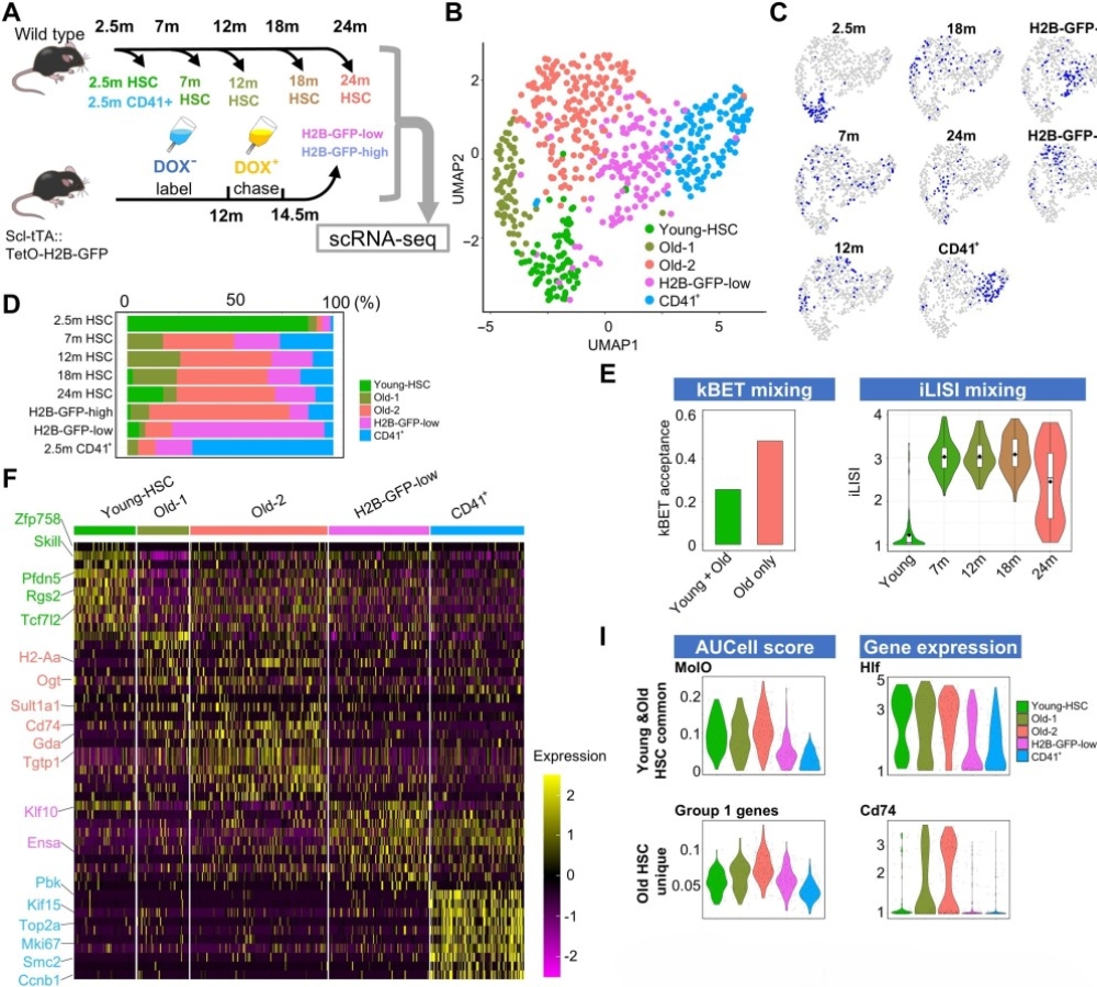 Geneformer-guided multiomics identifies Pbx1 as a network hub of HSC aging