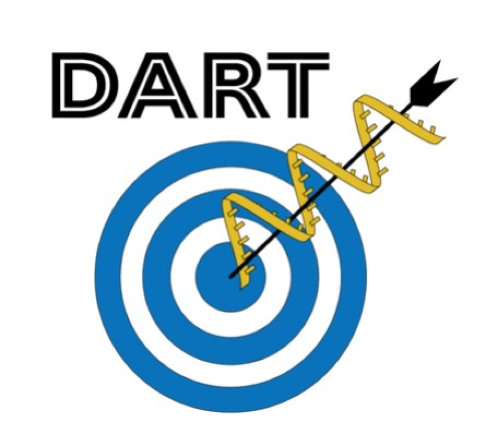 DART project: novel mRNA delivery systems for vaccines