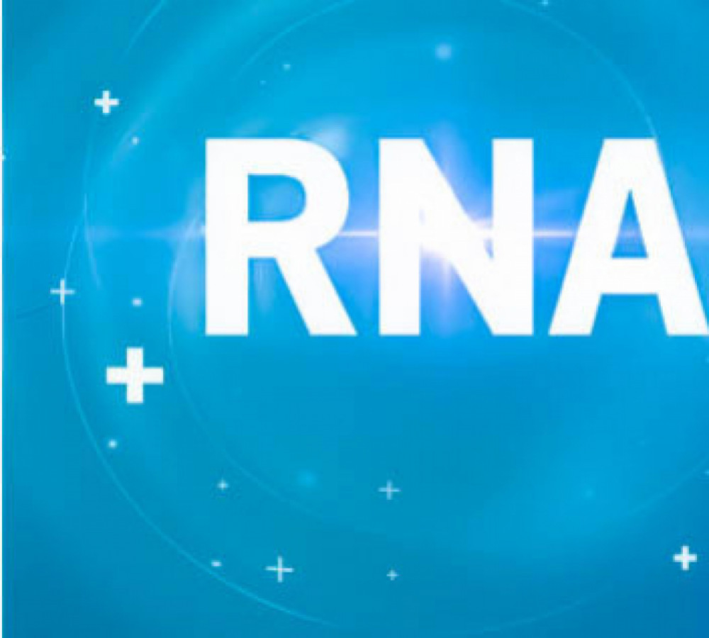 mRNA: A Complete Guideline