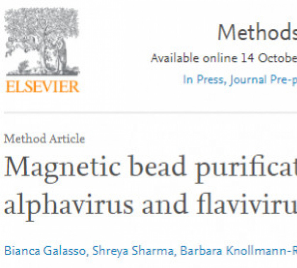 New Publication with Mag4C-LV