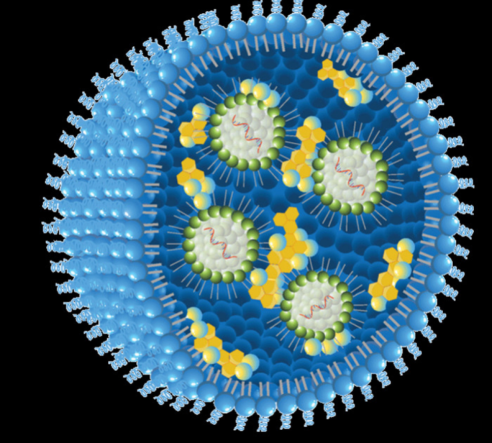 NEW APPLICATION NOTE:  LIPID NANOPARTICLES (LNP)