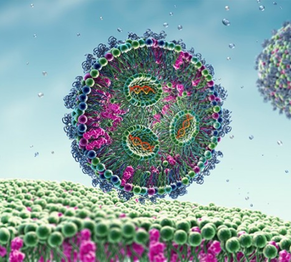 Lipid Nanoparticles (LNPs) and mRNA Vaccines: A Revolution in Vaccine Research
