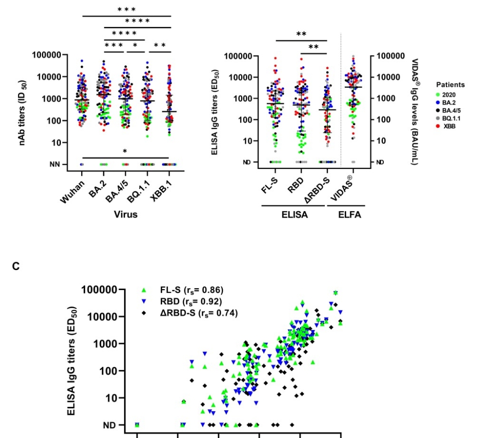 Helix in transfection reagent