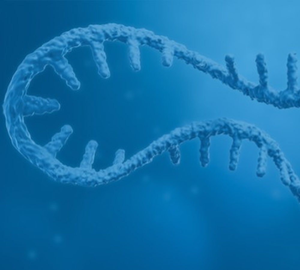 Product Launch Announcement: Self-amplifying RNA